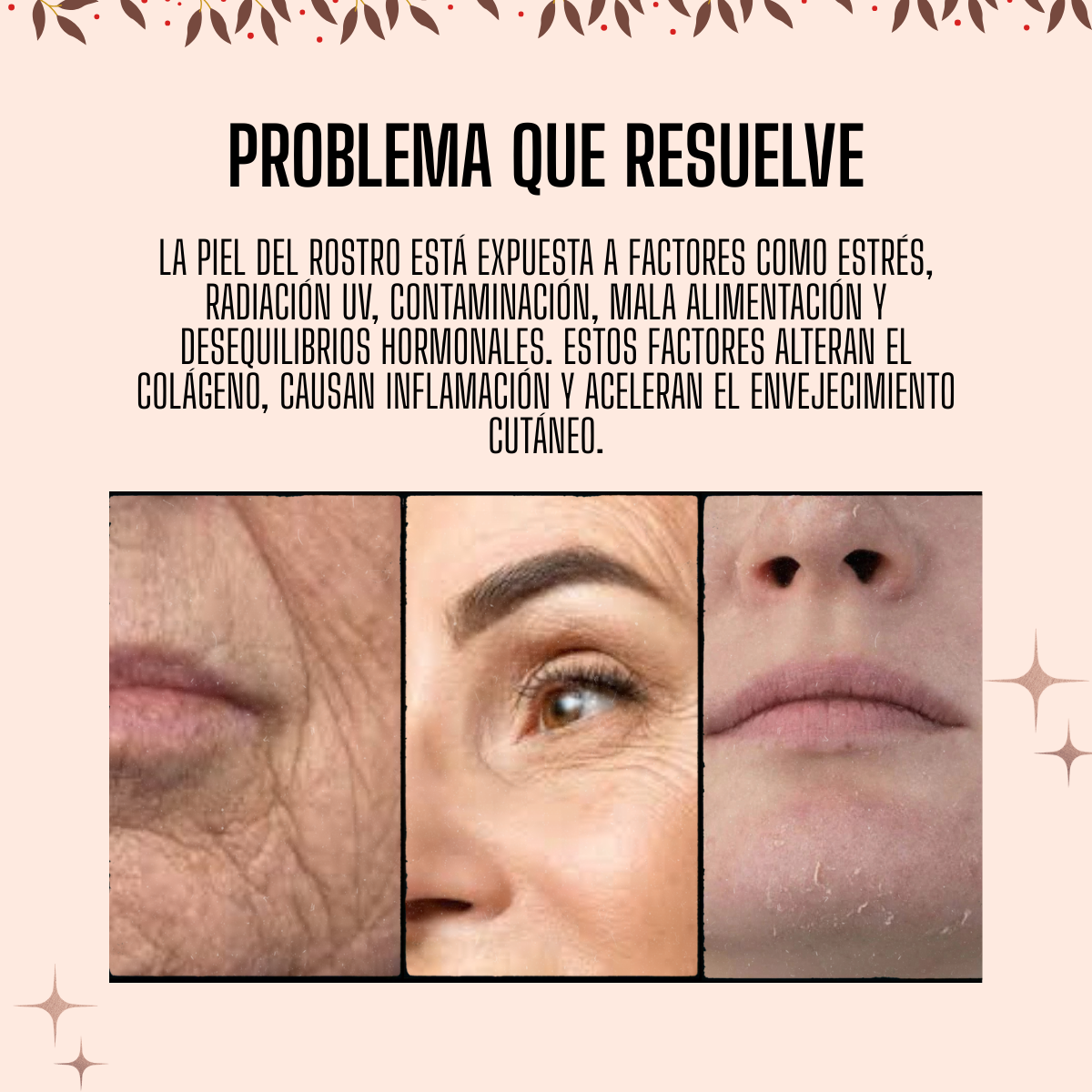 VIL SkYnBiotic, Shine Renew. Piel más Luminosa, Firme y Saludable En 3 Semanas!